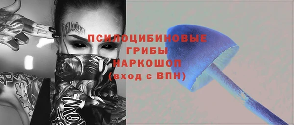 молекула духа Белокуриха
