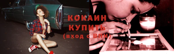 молекула духа Белокуриха