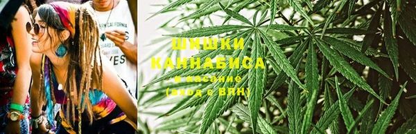 молекула духа Белокуриха