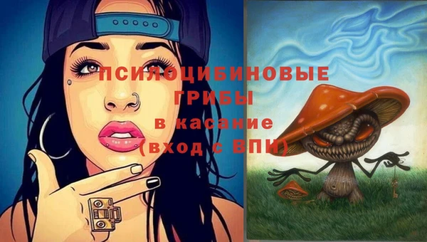 молекула духа Белокуриха