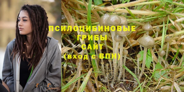 молекула духа Белокуриха